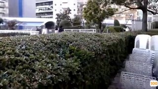 国产精品精品999,成人视频高清免费观看